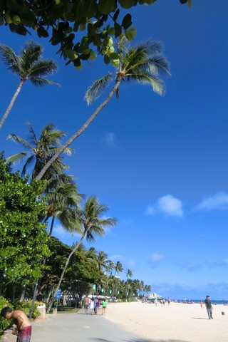 20110627 006