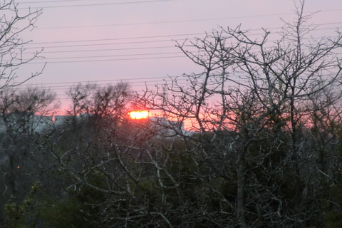 Walnut creek metropolitan park 0304 016