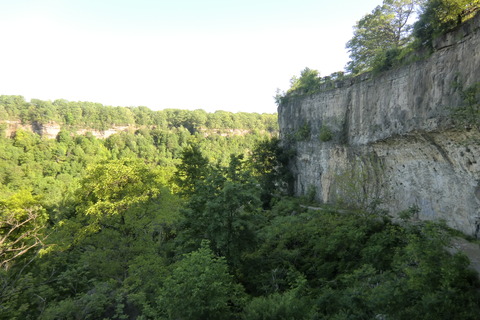 20110602 156