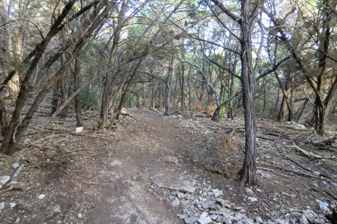 20110423 452