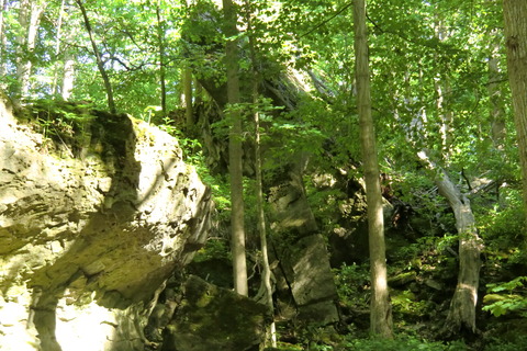 20110602 150