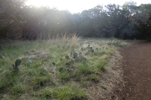 20110423 454