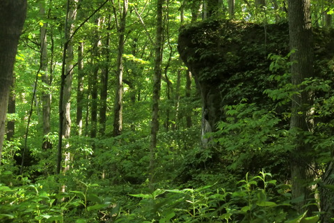20110602 154