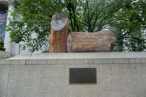 20110523 023