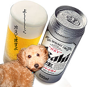 びーる