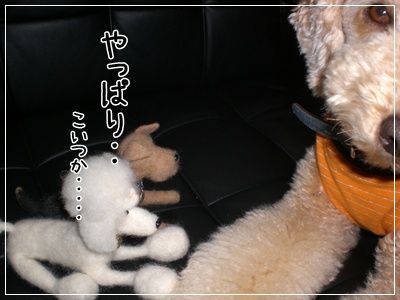 16 020