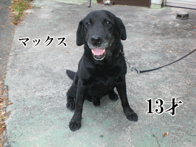 16-006