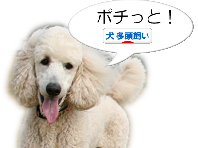 ぽちっと!