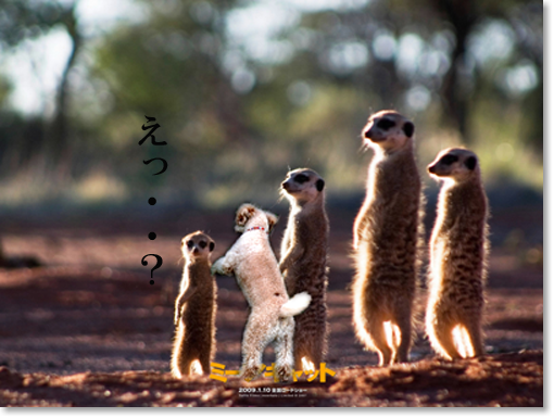 み〜あ