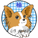yuzu_s