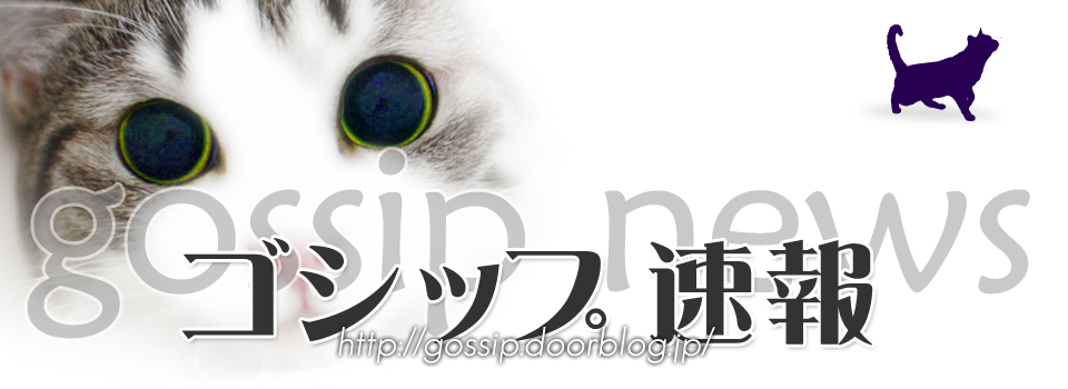 ゴシップ速報 ニュース 猫