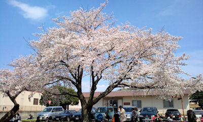 F1000064.JPG