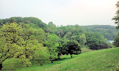 F1000077.JPG