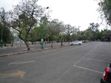 P1000556