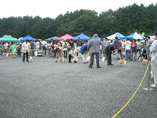 16e48808.jpg