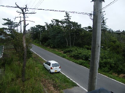 25c943da.jpg
