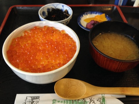 はらこ丼