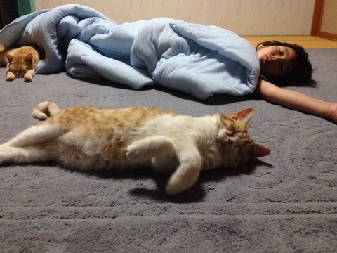 みんな寝てる