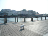 363b7f12.jpg