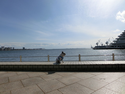 海とプー