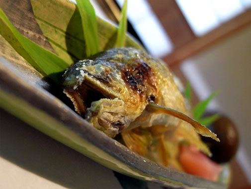 京料理・京の宿 菊水 焼物(鮎の塩焼き)