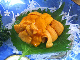 大黒 生ウニ