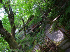 京料理・京の宿 菊水 庭園