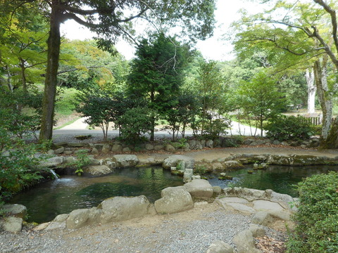 DSCN3567