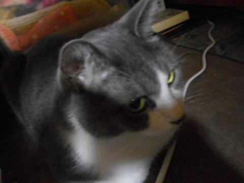 DSCN3512