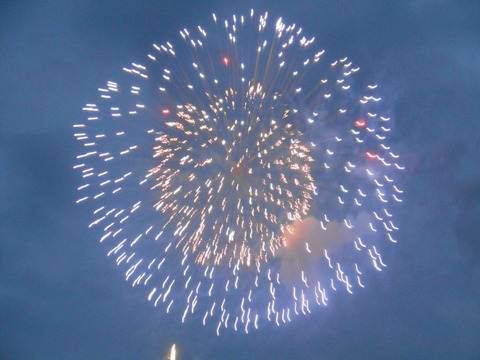DSCN3536