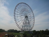 �礭�ʴ�����