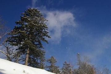 120113雪が舞う