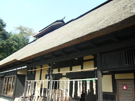 ce431479.jpg