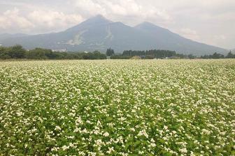 120826磐梯山とそば畑