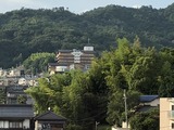 IMG_1804