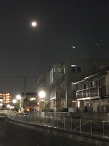 IMG_4699