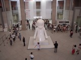 DSCN6206