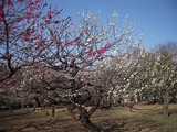 DSCN3375