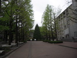 DSCN5346