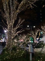 20141206表参道
