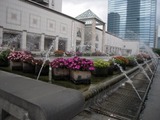 DSCN6201