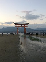 20171104宮島3