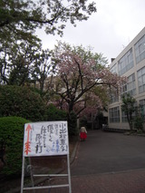DSCN5347