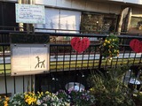 クレヨンハウス20141