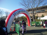 58451ed4.jpg