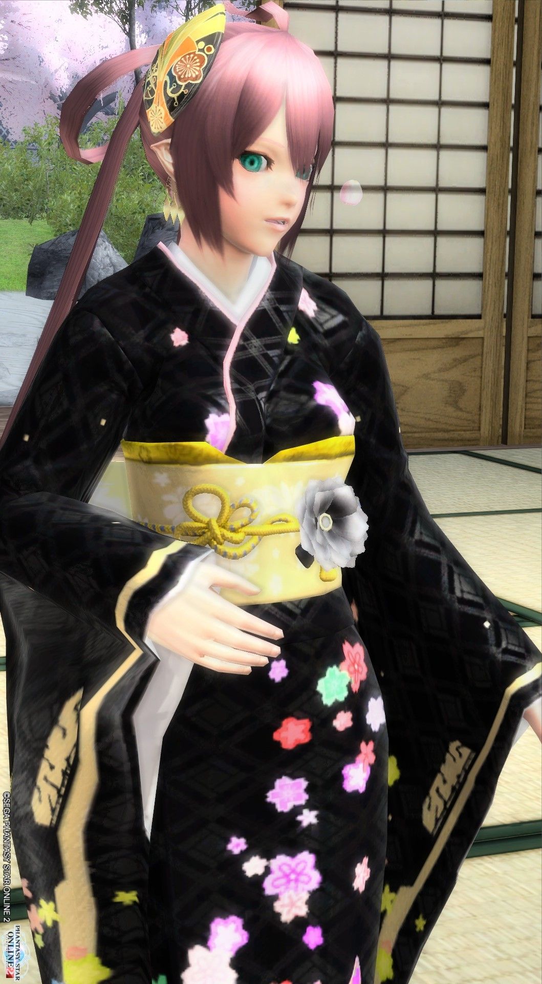 pso20141227_230040_002.jpg