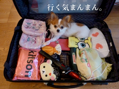 bag