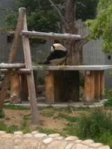 おてんば日記:<b>王子動物園</b>に行ってきました！