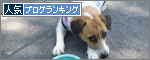 banner-3