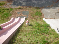 P1190591